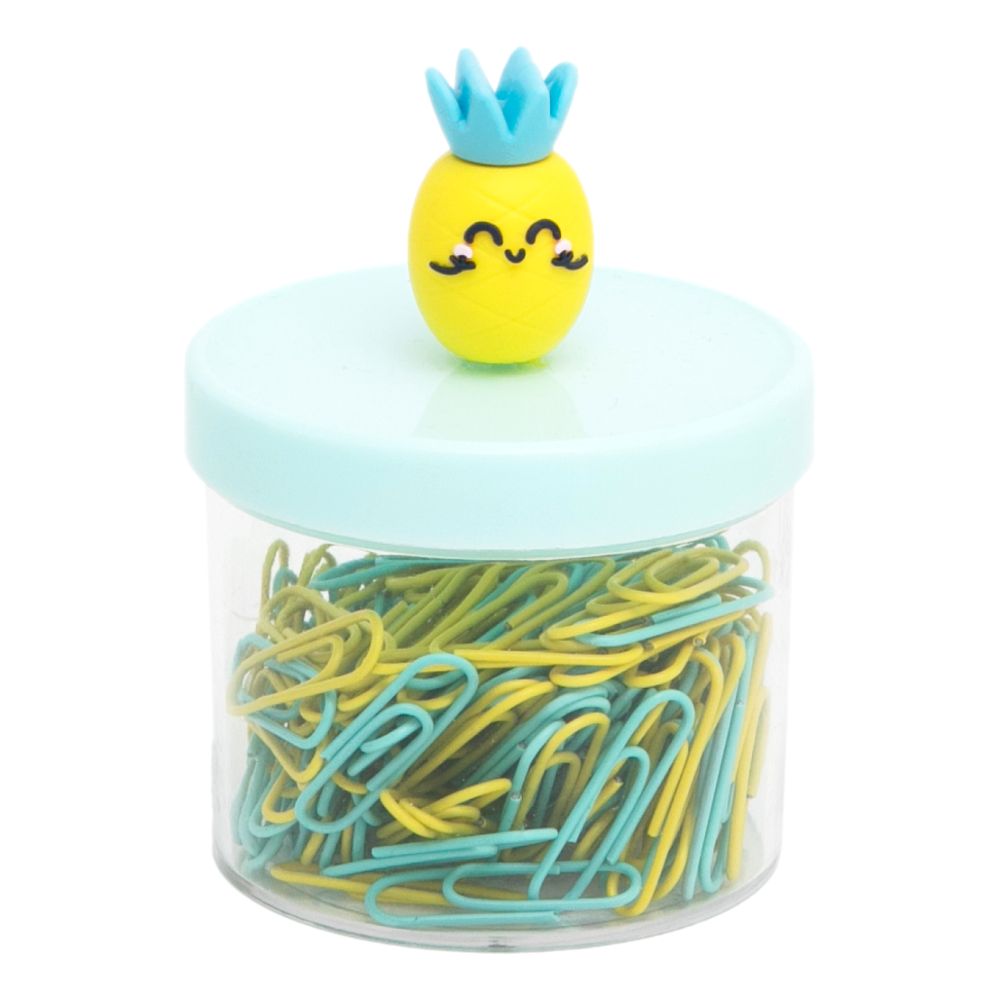 Mr. Wonderful Box Paper Clips – Ananas