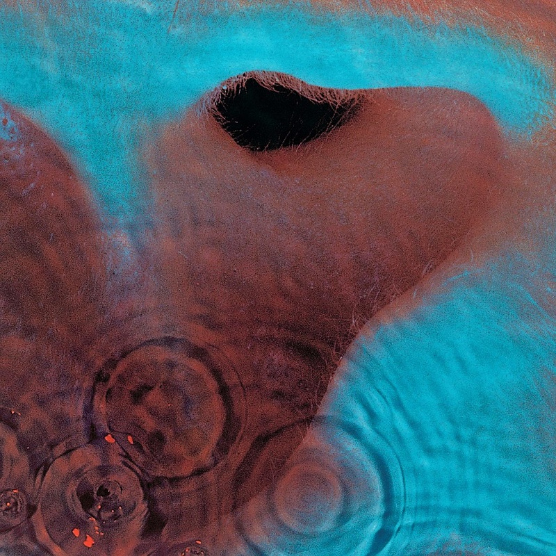 Meddle | Pink Floyd