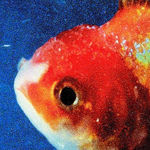 Big Fish Theory Picture Vinyl (2 Discs) | Vince Staples