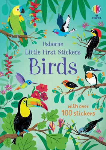 Little First Stickers Birds | Jane Bingham