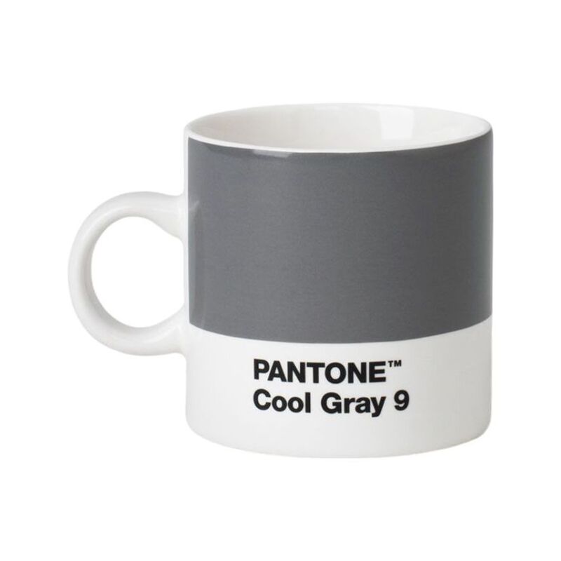 Pantone Espresso Cup 120ml - Cool Gray 9