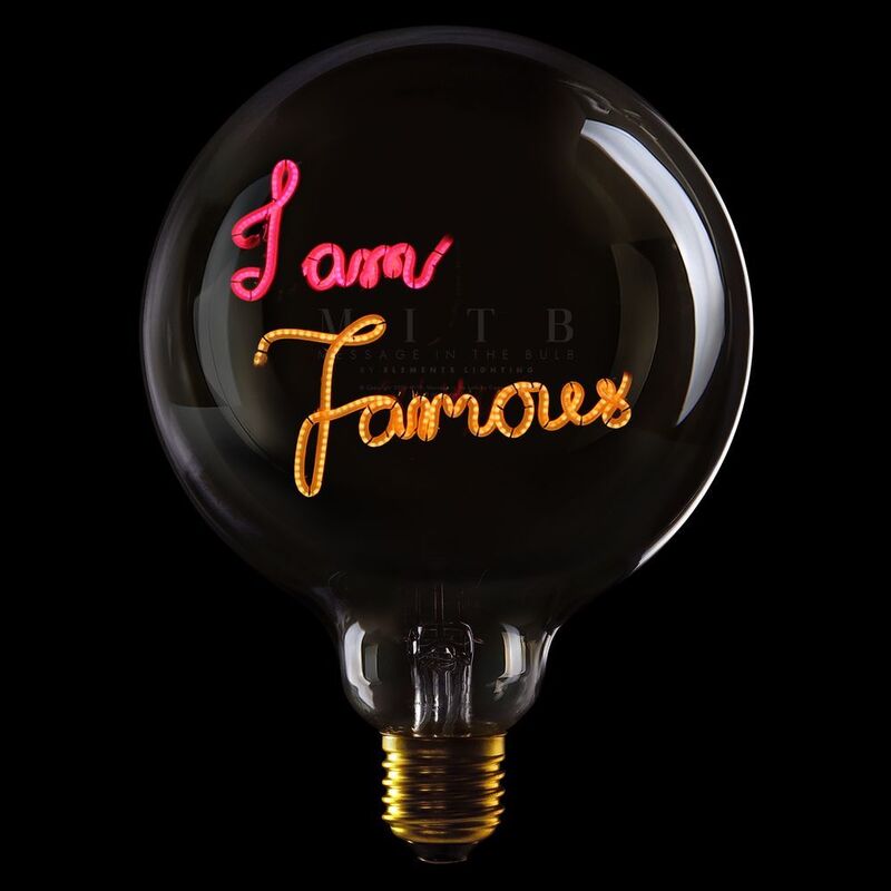 Message in the Bulb 904101Rax I Am Famous LED Light Bulb (6 Volt) - Clear Glass - Red & Amber Light