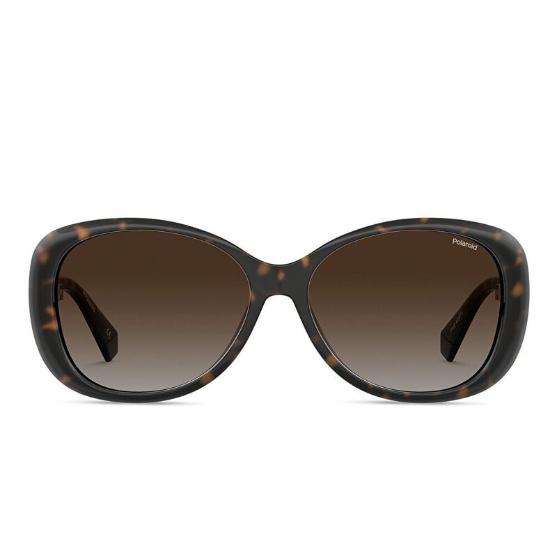 Polaroid Square Sunglasses - Havana / Brown (182829001)