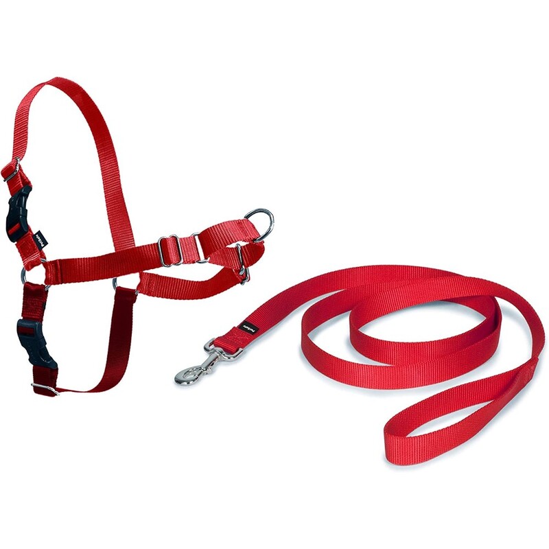 Petsafe Easy Walk Harness Small Red Rohs