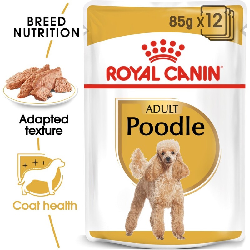Royal Canin Breed Health Nutrition Poodle Adult (Wet Food - Pouches)