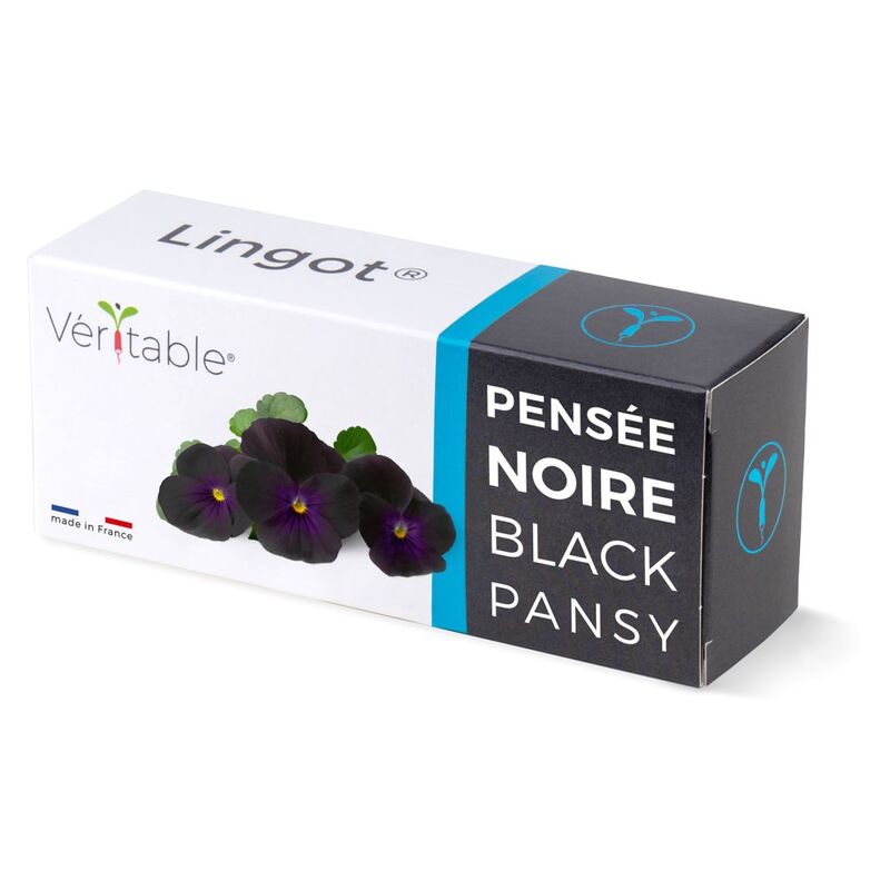 Veritable Lingot® Black Pansy