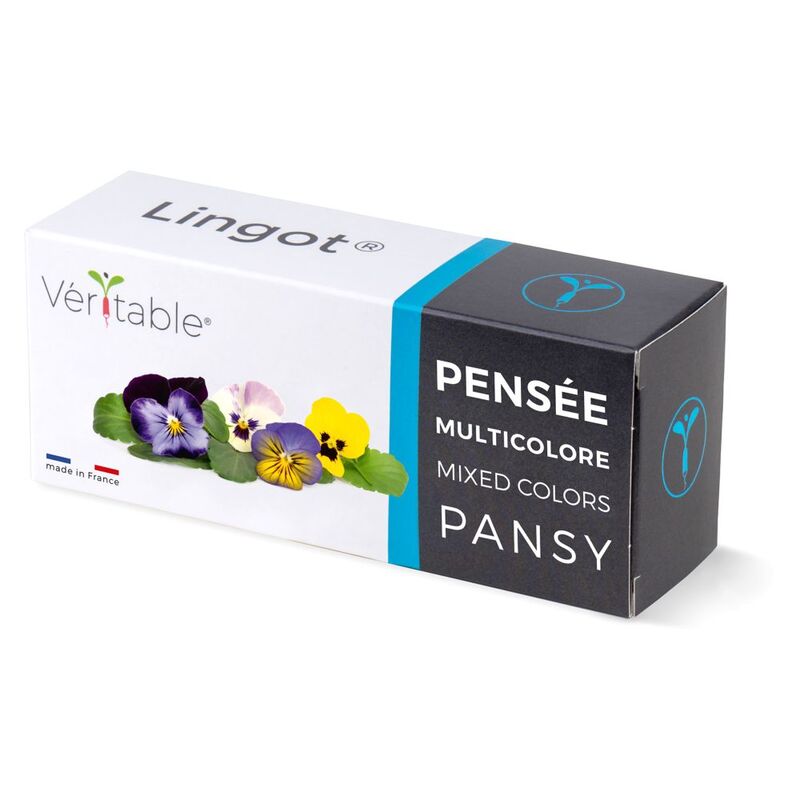 Veritable Lingot® Multi Colored Pansy