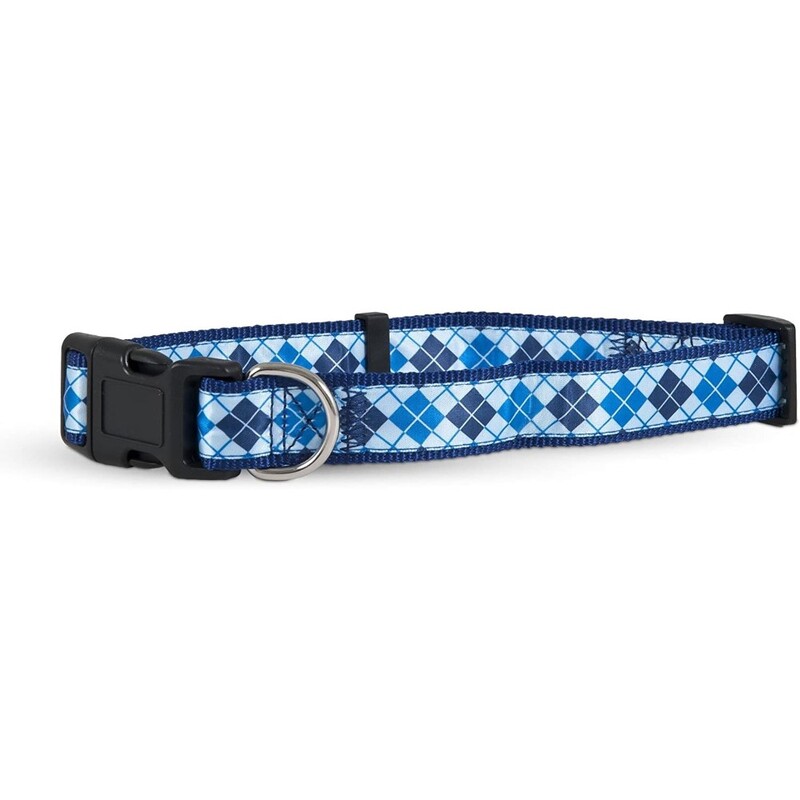 Aspen Pet 11456 Collar For Pets - 1 By 16 To 26-Inch - Harlequin Blue
