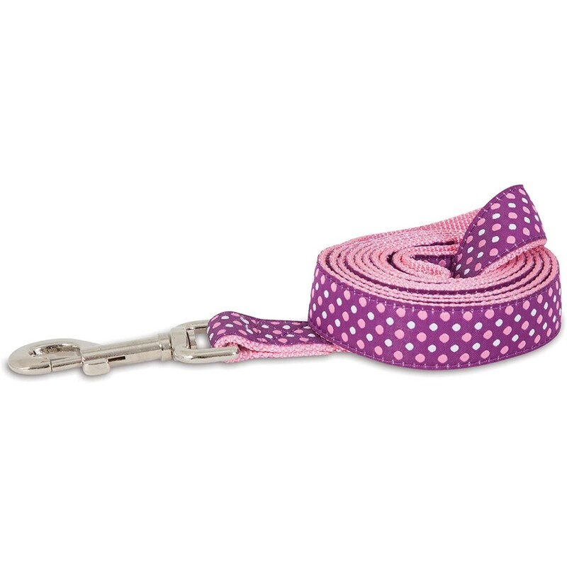 Aspen Pet 11466 Leash For Pets - 1 By 6-Feet - Dots Pink