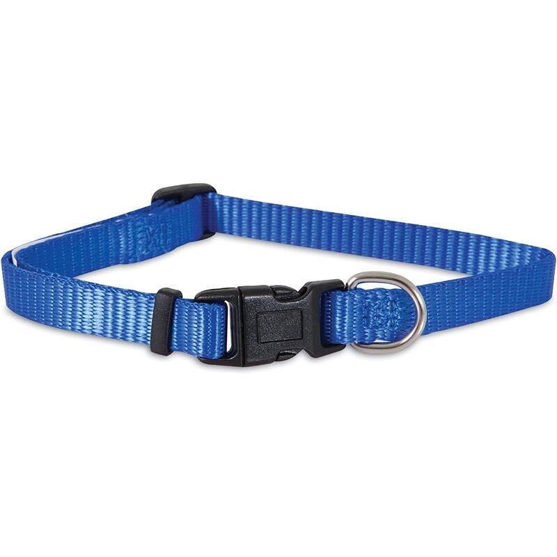 Aspen Pet Nylon Adjustable Collar - Blue - 20-30" x 1.5"