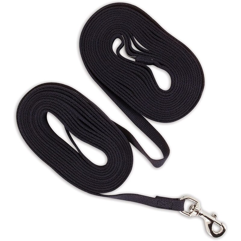 Petmate 23517 Pet Supplies Dog Training Leashes - Lead