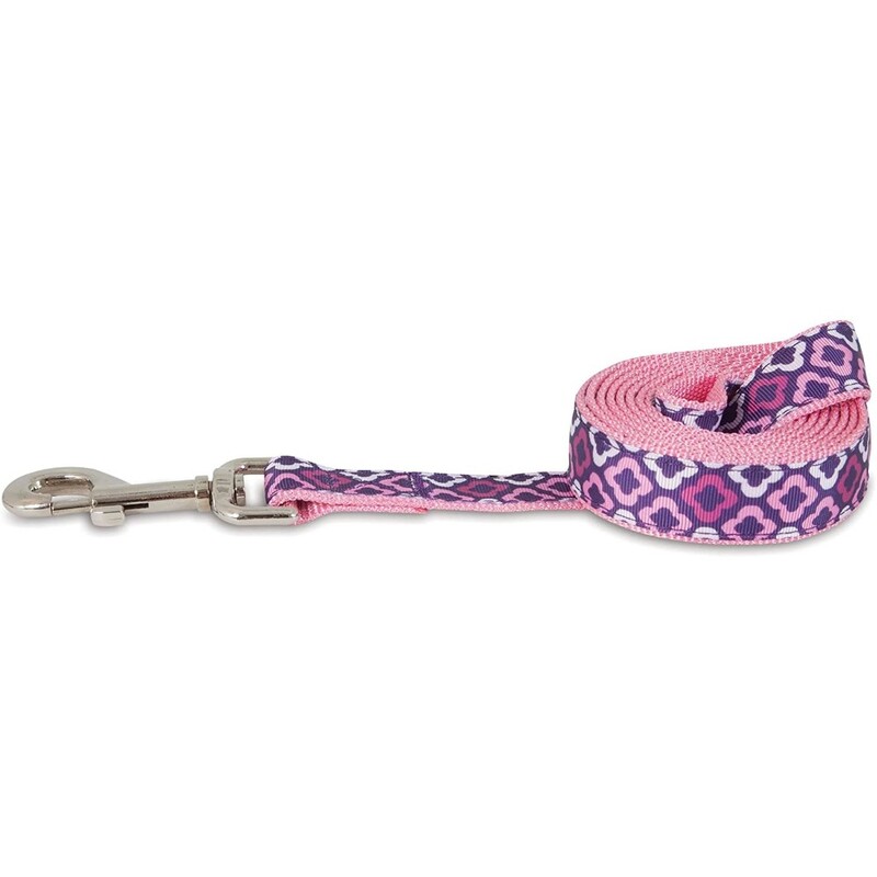 Petmate Aspen Pet Dog Leash 1"X6' Purple Geo