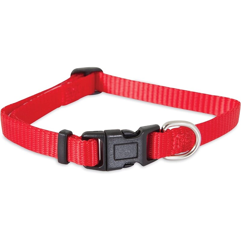 Petmate Standard Nylon Adjustable Dog Collar Red 3/8 x 8-14In