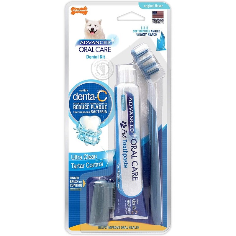 Nylabone Advanced Oral Care Dental Kit - White