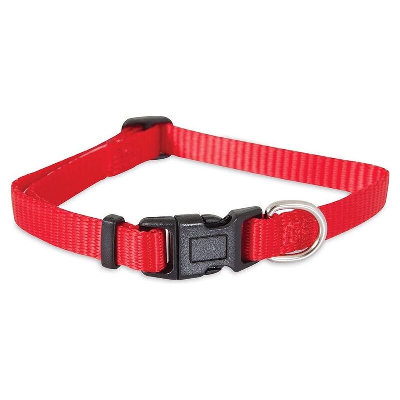 Petmate Nylon Adjustable Dog Collar 5/8-Inch x 10-16-Inch Red