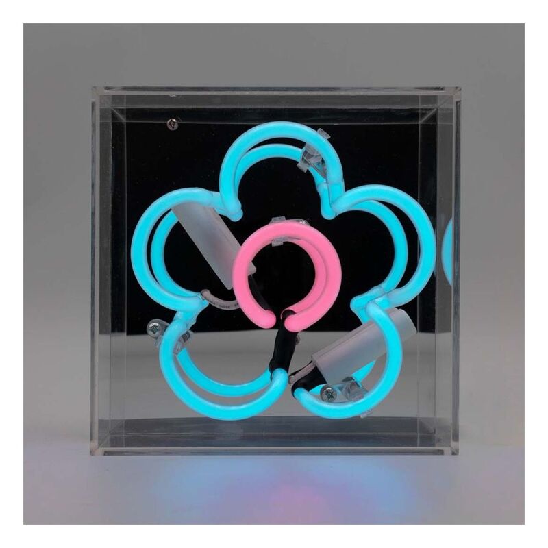 Locomocean Mini Acrylic Box Neon - Daisy Blue Lighting Piece