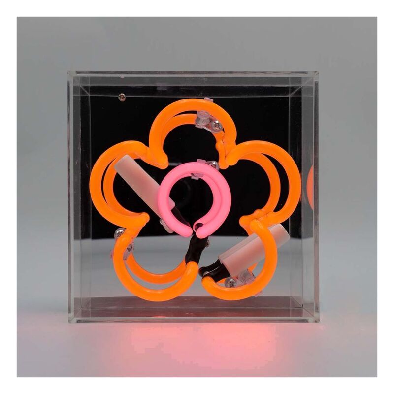 Locomocean Mini Acrylic Box Neon - Daisy Orange Lighting Piece