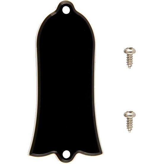 Gibson Accessories PRTR-010 Truss Rod Cover Blank
