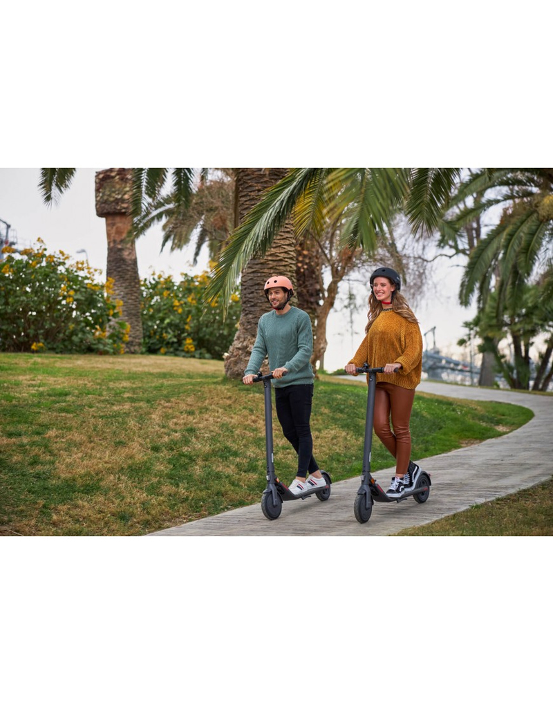 Ninebot KickScooter E22E Powered by Segway