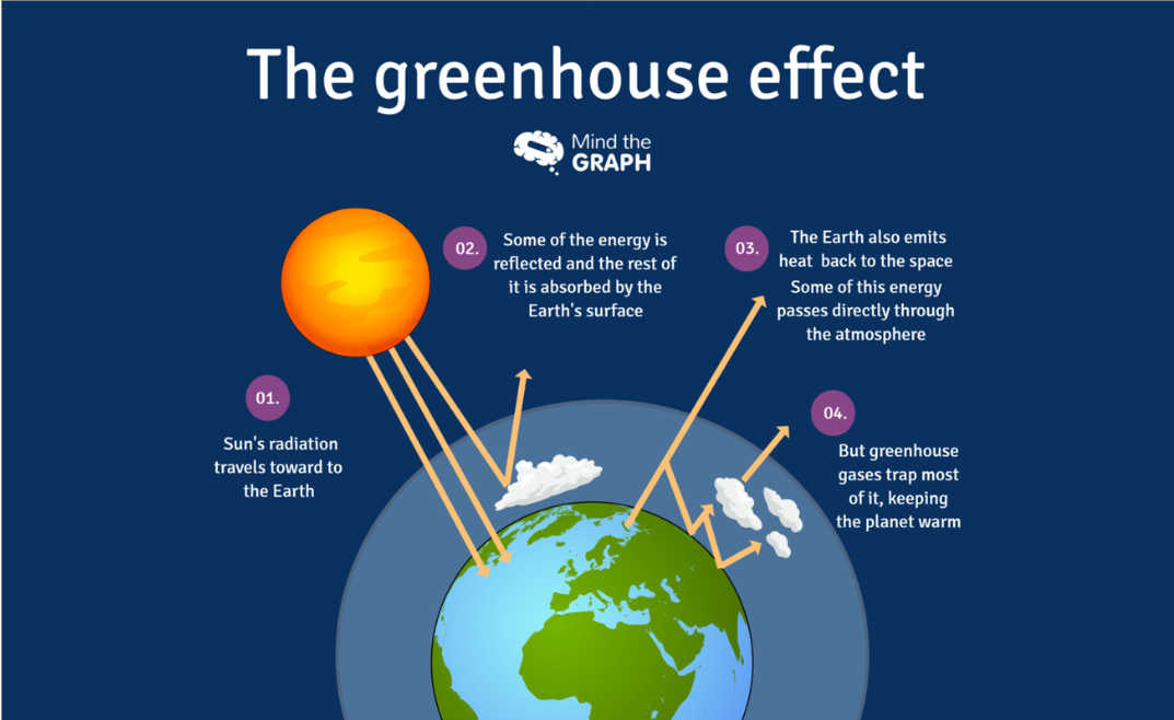 the greenhouse effect diagram.png